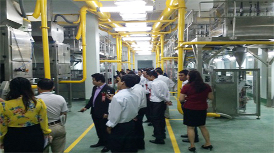 Washing Powder PackagingLine